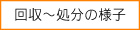 �s�p�i�̉�����珈���̗l�q