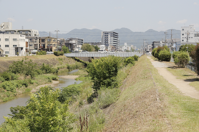 京都の街と川の風景